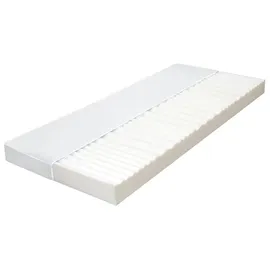 vidaXL 7-Zonen Kaltschaum 120 x 200 cm H2/H3