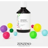 ZinZino BalanceOil Tutti Frutti Geschmack - mit Omega-3, Omega-9, Vitamin D3,