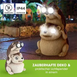 EasyMaxx Igel mit Fernglas