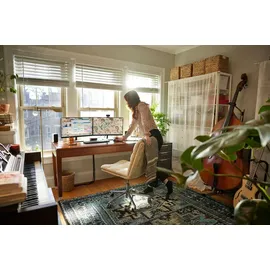 HP P24v G5 23,8" schwarz