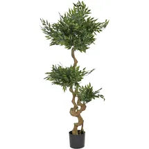 Beliani Kunstpflanze Ruscus Tree 166 cm