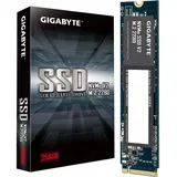 Gigabyte V2 256 GB M.2