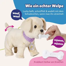 BABY BORN Mein Hund Lucky mit Box 835869