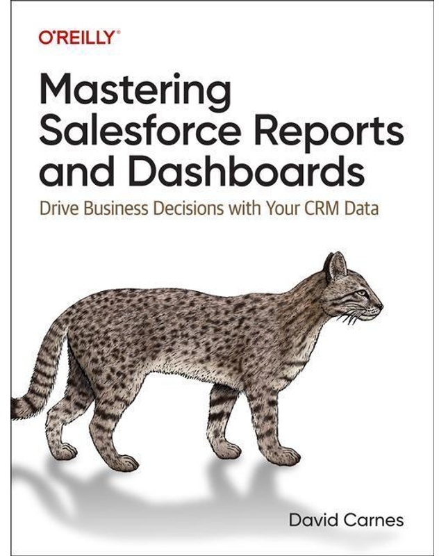 Mastering Salesforce Reports And Dashboards - David Carnes, Kartoniert (TB)