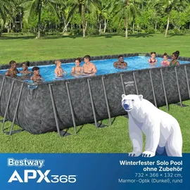 BESTWAY APX365 Winterfester Solo Pool 732 x 366 x 132 cm