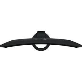 Eizo FlexScan EV3895 38" schwarz