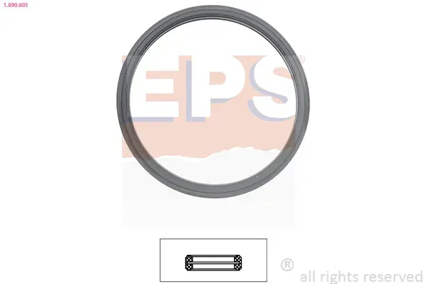 EPS Dichtung, Thermostat 1890601