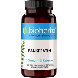 Bioherba Pankreatin Kapseln 100 St.