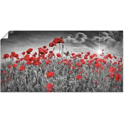 Wandbild ARTLAND "Idyllisches Mohnblumenfeld mit Sonne", schwarz (farbe bild(er): schwarz), B:100cm H:50cm, Bilder, als Alubild, Outdoorbild, Leinwandbild, Poster, Wandaufkleber