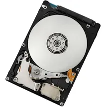 Lenovo 500 GB 2,5'' 42D0753