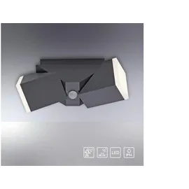 Paul Neuhaus Ryan Wandleuchte, LED, 9772-13,