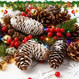 Axlyca 76PCS Weihnachten Tannenzapfen Set,Mini Tannenzapfen Set mit Weihnachten Stechpalmen Beeren,Natur Kiefernzapfen Deko,für Weihnachtsdekorationen,Adventskränze,Tischdekorationen,DIY Bastelarbeite