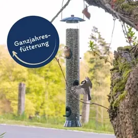 Lyra Pet Sonnenblumenkerne gestreift 25 kg