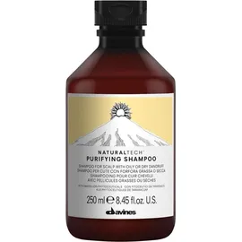 Davines Naturaltech Purifying Shampoo 250 ml