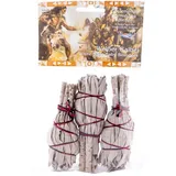 Berk Weißer Salbei mini 3er Pack