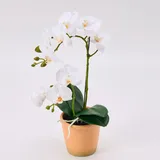 Avoeco Künstliche Orchidee, fühlt sich echt an, 38,1 cm, künstliche Phalaenopsis im Topf, sehr realistische Seiden-Orchidee Blume und Blattstruktur für Zuhause, Büro, Geschäft und Hochzeitsdekoration