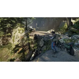 Days Gone (USK) (PS4)