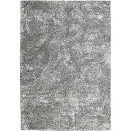 Astra Paulie 250 Hochflor-Teppich 80 x 150 cm Silber