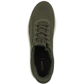 GEOX Spherica Plus Herren Grün 43