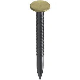 TOX Bildernagel Home Classic mit Messingkopf 2,0 x 25 mm 20 Stück