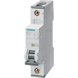 Siemens 5SY41025