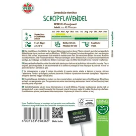 Sperli Schopflavendelsamen Kronjuwel Lavandula stoechas 45 Pflanzen