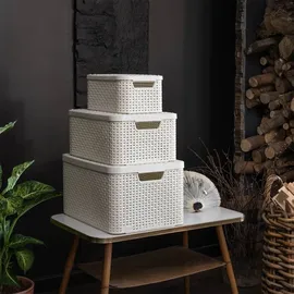 Curver Aufbewahrungsbox 44,5 x 33 cm 1-tlg. beige