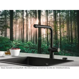 Franke Küchenarmatur Active L