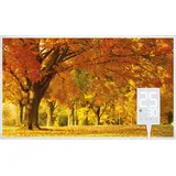 Heidenfeld Infrarotheizung HF-HP105, mit Bild, 16 Motive, 10 J. Garantie, Thermostat, Wandmontage (600 Watt, Herbst)