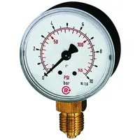 Riegler Standardmano, Kunststoff, G 1/8 unten, 0 - 6,0
