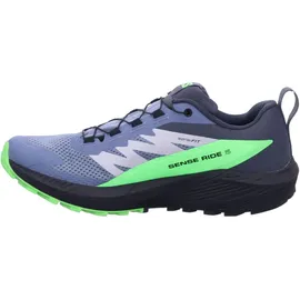 Salomon Sense Ride Herren Flint Stone/Black/Green Gecko 42