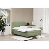 kaiser möbel Boxspringbett mit matratze und bettkasten, Schlafbett Vero Hellgrün 160x200 cm
