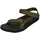 dark olive 43