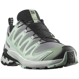 Salomon XA Pro 3D V9 GTX Damen Quiet Shade/Lily Pad/Blue Haze 40 2/3