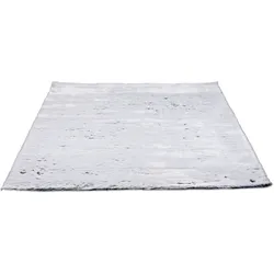 Fellteppich TOM TAILOR HOME "Furry" Gr. 3, silber (silberfarben), B:90cm H:25mm L:160cm, Kunstfaser, Teppiche, Fellteppich, Kunstfell, Hochflor, extrem weiche Haptik