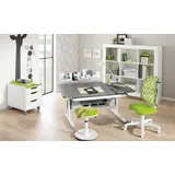 Paidi Kinderschreibtisch Diego grau