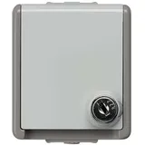Siemens Schuko-Steckdose 5UB4714 Grau