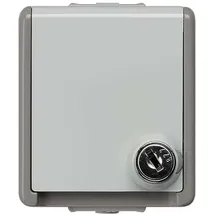 Siemens Schuko-Steckdose 5UB4714 Grau