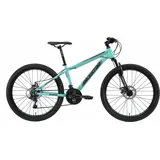 Bikestar Mountainbike, 21 Gang Shimano RD-TY300 Schaltwerk, Kettenschaltung, für Damen und Herren, Kettenschaltung grün