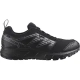 Black/Pewter/Frost Gray 46 2/3