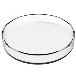alessandro International ALE Glasschale