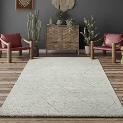 Teppich THE CARPET "Bahar Shaggy", beige (creme), B:240cm H:30mm L:340cm, Polypropylen, Teppiche