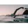 Sailfish Neoprenanzug One 8 Schwarz S