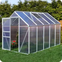 Aluminium Gewächshaus 250x310 cm - 7,75 m2 mit Fundament - 6mm Verglasung, Silber, Garten Pflanzenhaus 11,58m3 Alu Treibhaus Tomatenhaus