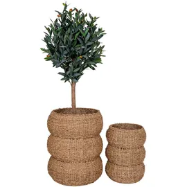 Korbset Sarbas 2er Set 35 x 35 x 45 cm bronze