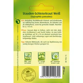 Quedlinburger Saatgut Stauden-Schleierkraut 'Weiss' Quedlinburger Blumensamen