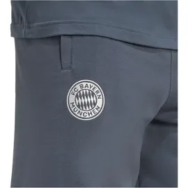 adidas FC Bayern München Shorts 2025/26 grau Herren Gr. XL