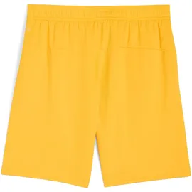 Puma Borussia Dortmund Shorts 2025/26 gelb Herren Gr. L