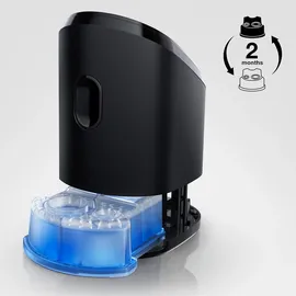 Braun Reinigungskartuschen Clean & Renew CCR 2 St.