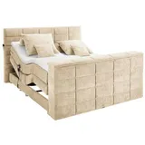 U N O Sports Carryhome Boxspringbett Sandfarben + beige - Maße (cm): B: 202 H: 123
